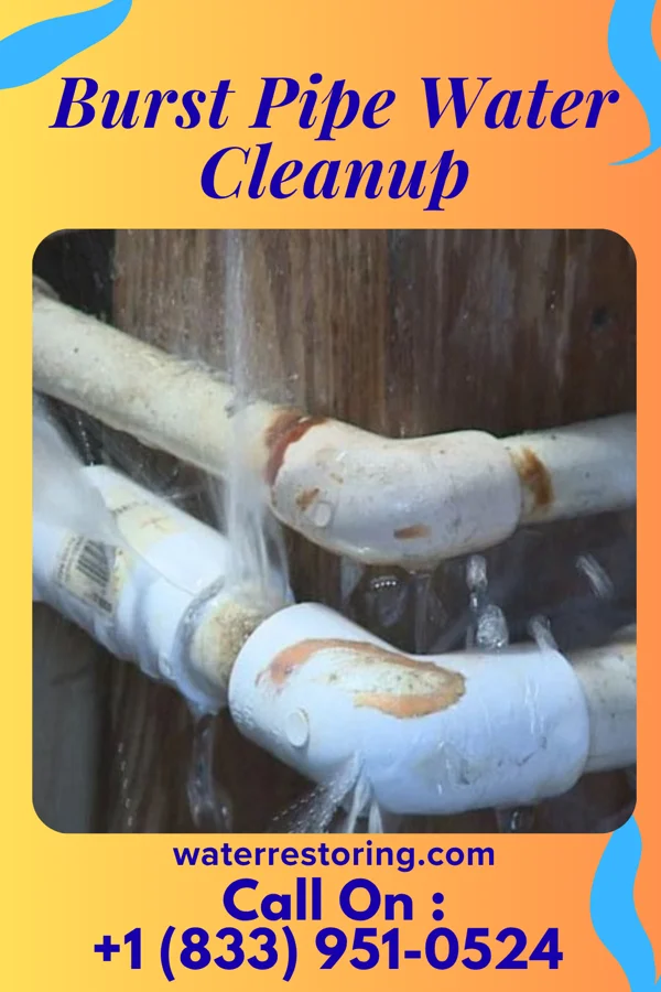 Burst Pipe Water Cleanup in Makemie Park, VA