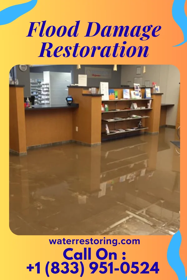 Flood Damage Restoration in Makemie Park, VA