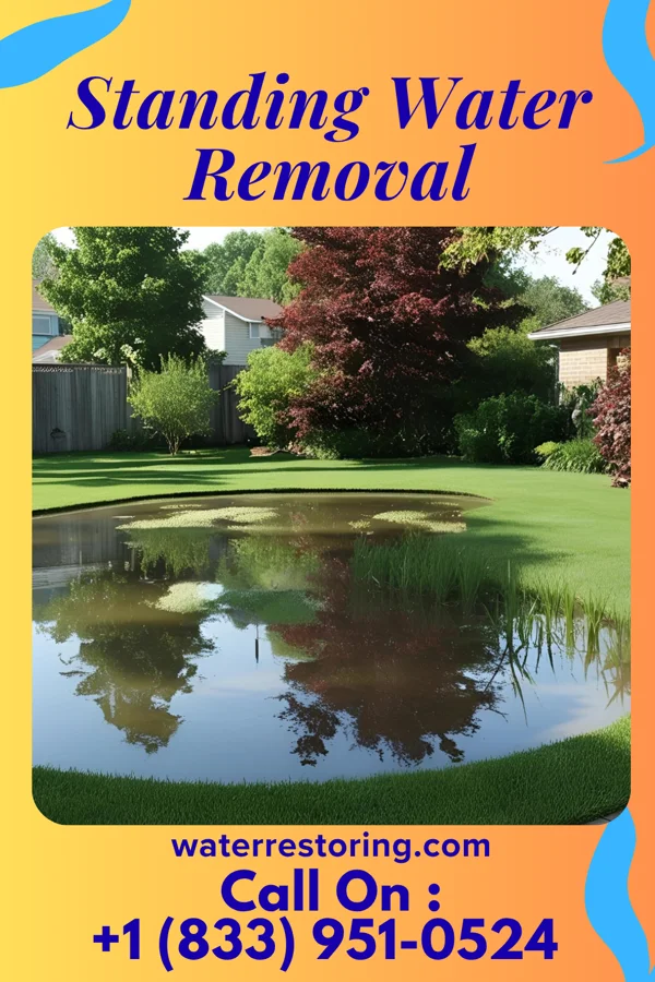 Standing Water Removal in Makemie Park, VA